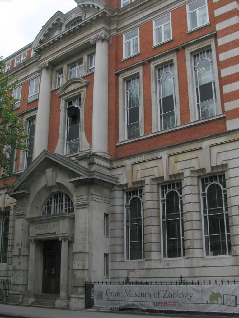The Grant Museum Of Zoology UCL 1 768x1024